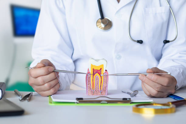 Best Root Canal Emergency Dentist  in Dodson Branch, TN